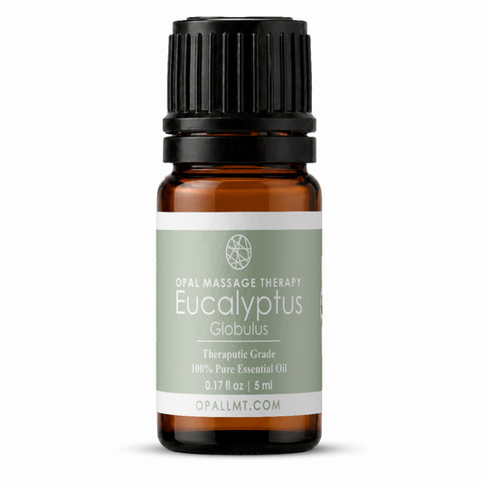 Premium Eucalyptus Globulus Therapeutic Natural Essential Oil