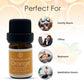 Premium Orange Therapeutic Natural Essential Oil